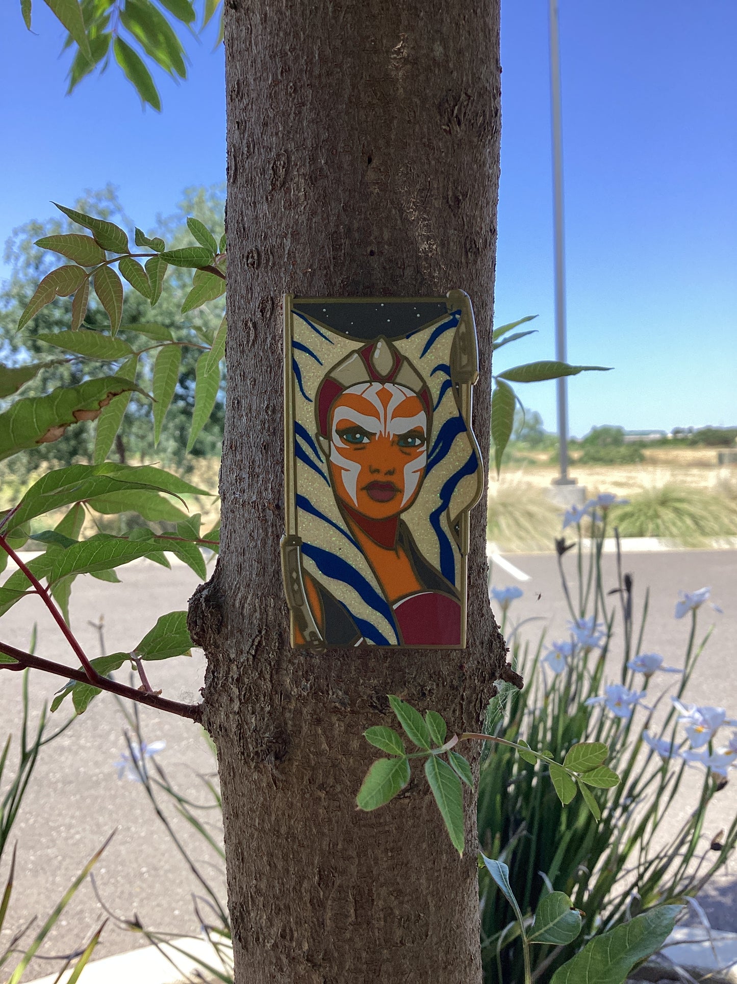 "A Tribute to the Padawan"