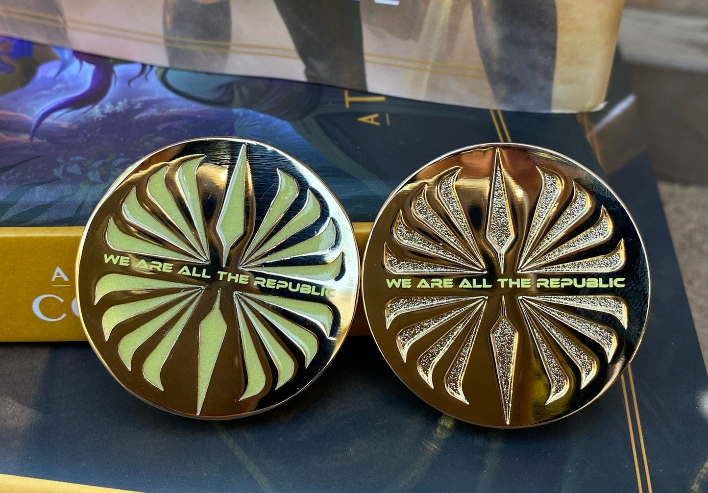 We are all the Republic Circle Pins