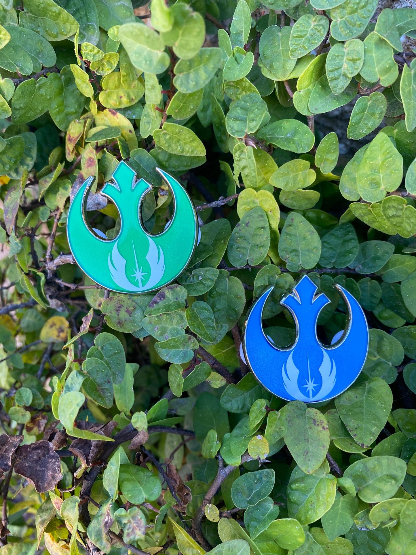 Rebel Jedi Order