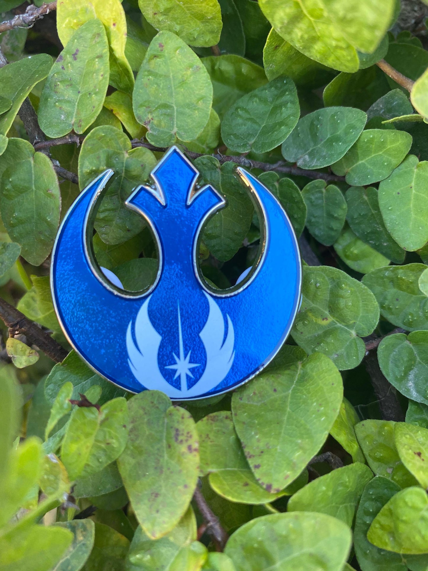 Rebel Jedi Order