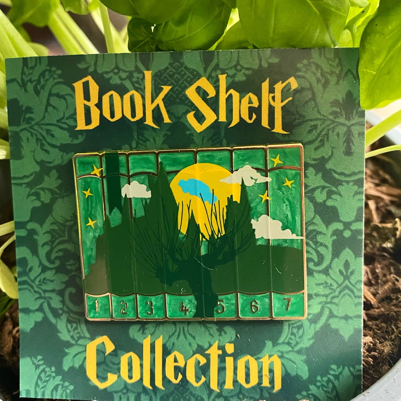“Book Shelf Collection” 2
